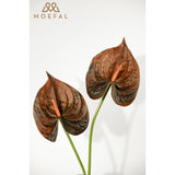 Real Touch Anthurium Artificial Flowers, 8Pcs Brown Faux Tropical Flowers With Stems For Boho Wedding Bouquets, Rust Fall Centerpieces & Jungle Party Decoration