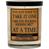 You Just Have To Take It, Funny Candles Gift For Women Friends Mom, Bff, Girlfriend, Boyfriend, Inappropriate Candles With Funny Sayings, Lavender Scented, Made In Usa