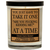 You Just Have To Take It, Funny Candles Gift For Women Friends Mom, Bff, Girlfriend, Boyfriend, Inappropriate Candles With Funny Sayings, Lavender Scented, Made In Usa