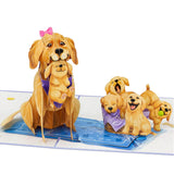 Dogs Pop Up Cards, Golden Retriever, 3D Greeting Cards, Gift For Mothers Day, Birthday, Anniversary, Valentines Day, Mom, Stepmom, Mother In Law, 5X7 - Includes Envelope And Message Note