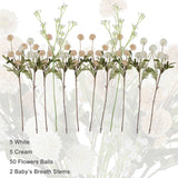 12 Pack Artificial Flowers Bulk - 5 White & 5 Cream Fake Mums With 2 Baby’S Breath Stems, Silk Chrysanthemum Pom Pom Floral Arrangements, Long Stem Faux Flowers For Vase, Wedding, Home Decor