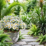 16 Bundles Uv Resistant Artificial Daisy Flowers Fake Eucalyptus Plant Greenery For Indoor Outdoor Shrubbery Pot Home Table Centerpieces (White)