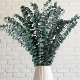 12 Pcs Preserved Dried Eucalyptus Stems, 17" Natural Branches For Shower Hanging, Real Dried Flowers For Vase Filler, Made From Fresh Eucalyptus Leaves, Garland, Wedding, Diy