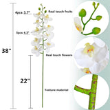 38 Inch Artificial Phalaenopsis Flowers Branches Real Touch (Not Silk) Orchids Flowers For Home Office Wedding Decoration,Pack Of 2 (White)