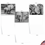 - 10 Blank Note Cards With Envelopes (4 X 5.12 Inch) - Black & White Photos, Bulk Boxed Set - Trunks Of Love M2370Ocb