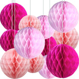 12 Pcs Pink and Hot Pink Paper Honeycomb Flower Balls for Party Ceiling Wall Hanging Tissue Pom Poms Decor (6 inch & 10 inch)