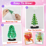 24 Pack Valentine’S Day Growing Trees Kit With Greeting Cards For Kids Stem Science Experiment Craft Party Favors School Classroom Gifts Exchange Goodie Bags For Boys And Girls