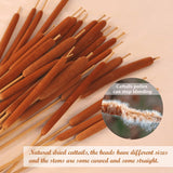 Dried Natural Brown Cattails Flowers - 20Pcs Real Broadleaf Pencil Cattail Stems Bundles, 17'' Bulrush Plants Dry Flower For Diy Floral Arrangements, Wedding Home Office Gardens Decor