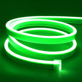 16.4FT Green LED Neon Rope Lights 12V Waterproof Cuttable Flexible Strip Lights