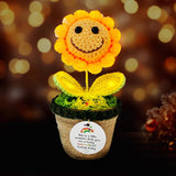 Handmade Inspirational Gift Light-Up Positive Sunflower Emotional Support Crochet Flower Gift For Women Men Birthday Thank You Gifts For Coworkers Teacher Friends Family