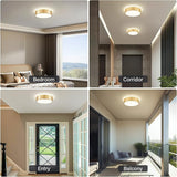 11.8 Inch Gold LED Ceiling Light 5CCT Dimmable Flush Mount Fixture