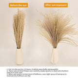 65Pcs Pampas Grass Decor, Including Pompas Floral, Reed Dried Grass And Bunny Tails Dried Flowers, Natural Dried Pampas Grass Bouquet For Boho Decor Wedding, Home Decoration