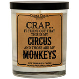 Funny Candle Gifts For Mom - Made In Usa - Mothers Day, Birthday Gifts For Women, Men, Dad, Best Friend, Sister, Coworker Candle, Birthday Candles, Unique Present From Daughter Or Son, 100% Soy Wax