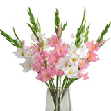 6Pcs Artificial Gladiolus Flowers White And Pink Fake Gladiolus Flowers Silk Gladiolus Flowers With Stems Fake Gladiolus Flowers For Wedding Garden Home Party Table Floral Arrangement