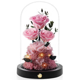 Valentines Day Flowers Roses Gifts For Women Her,Forever Preserved Rose In Glass Dome, Valentines Anniversary Birthday Real Roses Gifts For Wife Women Girlfriend Best Friend/Pink
