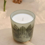 - French-Made Scented Candle Jar - Bird Of Paradise - Made In France, 200 Grams, +/- 40-Hour Burn Time - ?3.35 X 3.35 X 3.76 Inches