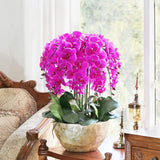 6 Pcs Artificial Phalaenopsis Flowers With 4 Bundles Leaves Artificial Orchid Flowers Stem Plants For Home Décor (Purple)
