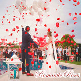 1200 Red Rose Petals - Artificial Fake Rose Flower Petals For Valentine'S Day,Wedding Decorations, Romantic Proposal, Anniversary, Party, Aisle Decor, Flower Girl