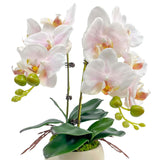 Realistic Artificial Phalaenopsis Orchid, 2 Stems Faux Orchid With 2 Rooted Leaves, No Maintenance Silk Flower With Bendable Stem For Home Office Decoration (Pale Pink)
