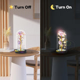 Valentines Day Flower Gifts For Her, Preserved Forever Glass Light Up Rose Gifts For Wife Girlfriend Women Mom Grandma Daughter Sister, Mothers Day Christmas Birthday Womens Gift (Colorful)