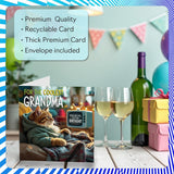 Grandma Birthday Card - Tv Cat - Happy Birthday Card For Grandma From Grandson Granddaughter, 5.7 Inch Cat Celebration Bday Greeting Cards