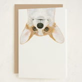 Corgi Dog Greeting Cards – 5 Pack Of Folded 5X7 Blank Greeting Cards On Paper With Matching Envelopes | All Occasion Stationery Set For Valentine'S, Birthdays, Thank You, Congratulations Notes