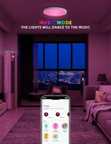 12 Inch Smart Ceiling Light White RGB Dimmable Alexa Google Fixture