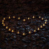 500Pcs Black Artificial Rose Petals With 24Pcs Black Battery Operated Flickering Flameless Tea Lights Candles (Black Tea Lights With Black Rose Petals)