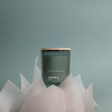 Arktis 'Artcic' Scented Candle, Special Edition, Scent Notes: Windswept Woods And Arctic Sage, Spearmint And Snowflakes, Vegan Formula, 7.0 Oz.