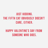 Hallmark Shoebox Pack of 4 Funny Valentines Day Cards (Cats Don't Care)
