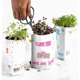 Mother'S Day Card | Greeting Card Greeting Cards With Organic Microgreens! Just Like A Post Card, Simply Mail And Recipient Gets To Grow & Eat | Cards For All Occasions | 1 Pack