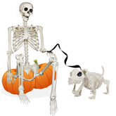 5.4FT Halloween Skeletons Decoration, Posable Life Full Size Skeleton with Dog Skeleton, Realistic Plastic Human Bones for Halloween Props Haunted House Graveyard Party Decor