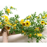 Artificial Daisy Garland Decorative Fake Flower Vine Hanging 5.6Ft Silk Flower Greenery For Home Garden Outdoor Ceremony Wedding Arch Floral Decor