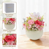 Preserved Flowers Arrangement In Mini Ceramic Vase Real Touch Forever Roses Gifts For Women (Pink)