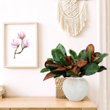 6 Pcs Magnolia Artificial Leaves Branches 3D Magnolia Pick Real Touch Faux Stems Simulation Leaves Twigs For Indoor Outdoor Vase Filling Home Office Table Decoration (Green,18 Inch)