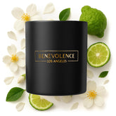 Bergamot & Jasmine Christmas Scented Candles | Soy Candles, Black Candle For Home | Holiday Candle Gifts For Women And Men | Home Fragrance | Aromatherapy | 8Oz, 45 Hour Burn