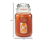 Yankee Candle Honey Clementine Scented, Classic 22oz Large Jar Single Wick Aromatherapy Candle, Over 110 Hours of Burn Time, Apothecary Jar Fall Candle, Autumn Candle Scented for Home