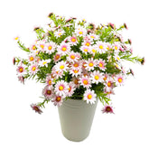 10 Bundles Artificial Daisy Flowers Faux Plants For Outdoors Fake Flowers Uv Resistant No Fade For Garden Porch Patio Window Box Decoration (Pink)
