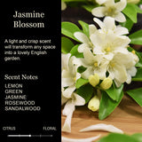 “I Love You More” Gifts For Her, Him, Wife, Husband - Jasmine Blossom Scented Soy Candle | Funny Best Friend Birthday Gift For Women, Men | Cute Adult Humor Candle