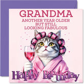 Grandma Birthday Card - Curler Cat - Happy Birthday Card For Grandma From Grandson Granddaughter, 5.7 Inch Curler Cat Bday Greeting Cards