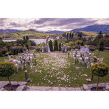 Rose Petals, 2000Pcs Silk Artificial Petals Flowers Home Party Decorations Wedding Bridal Decoration Wholesale Valentine Anniversary Ceremony Purple White