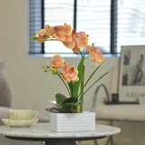 Artificial Real Touch Orchid Flowers In Pot Fake Phalaenopsis Flower With White Ceramic Vase Faux Orchids Arrangement For Home Table Office Wedding Party Decoration (Orange)
