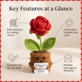 Handmade Positive Flower Crochet, Inspirational Gift For Women Men, Emotional Support Crochet Flower With Positive Card For Valentine'S Day, Teacher, Boss, Mom, Friends, Office Decor Home Decor (Rose)