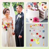 100 Pcs Faux Flower Heads Artificial Flowers Mini Rose Daisy Peony Plum Blossom Flower Fabric Diy Decoration Artificial Daisy Craft For Wedding Home Garland, 4.5 Cm, 2 Cm