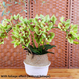 28.4" Artificial Phalaenopsis Flowers,Latex Phalaenopsis Branches,3D Faux Cymbidium Flowers 10 Large Petals Orchids For Home Décor (2, Green)