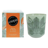 - French-Made Scented Candle Jar - Bird Of Paradise - Made In France, 200 Grams, +/- 40-Hour Burn Time - ?3.35 X 3.35 X 3.76 Inches