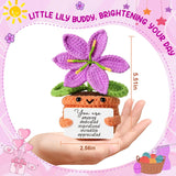 Crochet Purple Lily Flower – Valentines Day Romantic Gift For Women, Friends, Coworkers – Positive Artificial Potted Plant For Her, Him, Teacher, Mom, Birthday, Mother’S Day Easter Spring Decor
