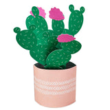 Hallmark Paper Wonder Mother's Day Pop Up Card (Potted Cactus) for Birthday, Thinking of You, Congrats, Get Well, Appreciation, Any Occasion
