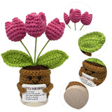 Handmade Crochet Tulips Flowers, Positive Crochet Flower Emotional Support Gift,Inspirational Appreciation Birthday Gifts For Women, Mom, Teacher, Coworker (Little Reminders)
