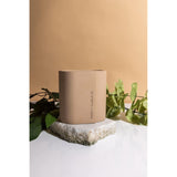 Paddywax Scented Candles Cirque Collection Soy Wax Candle in Oval Concrete Container, 12-Ounce, Peach & Patchouli